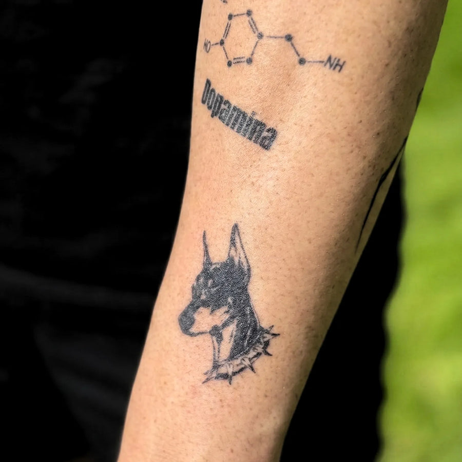 Doberman
