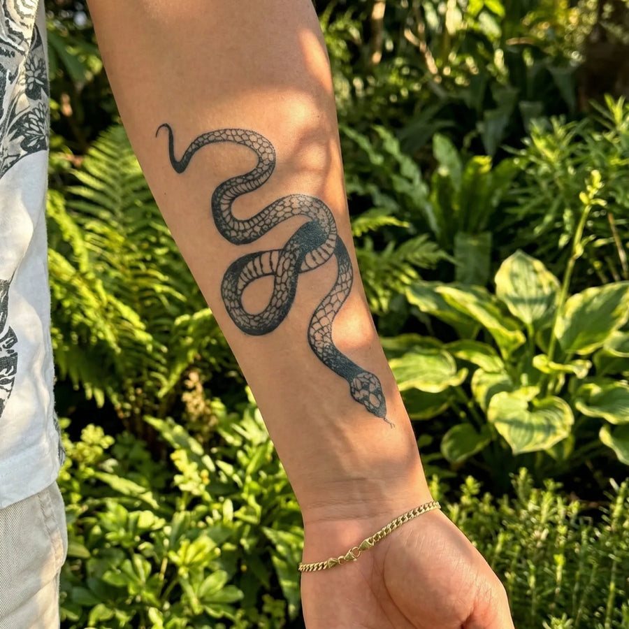 Coiled Venom